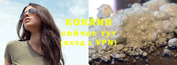 сатива Касимов