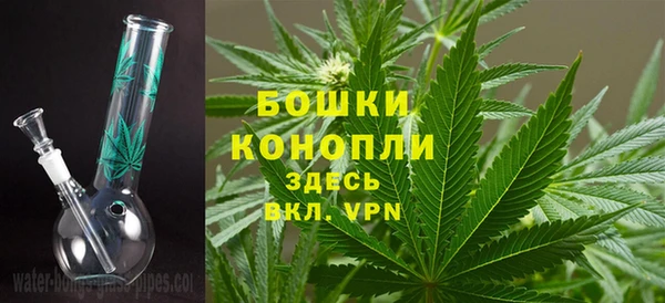 сатива Касимов
