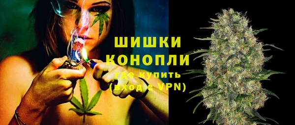 сатива Касимов