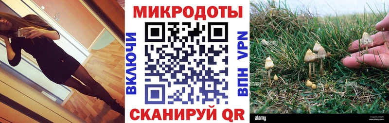 Купить где  Надым  Псилоцибиновые грибы Magic Shrooms 
